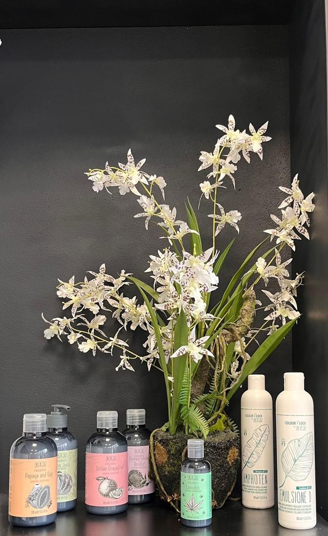 Products cover image